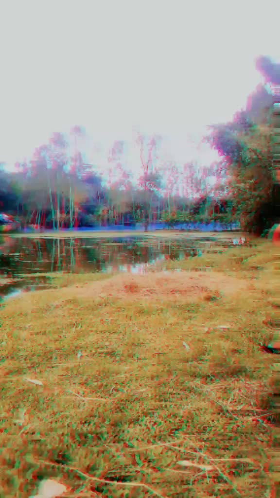 @TikTok Sapotar Your🦋🦋