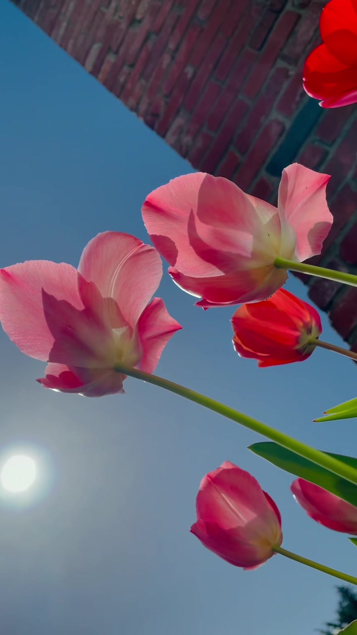 @jessicalovesflowers