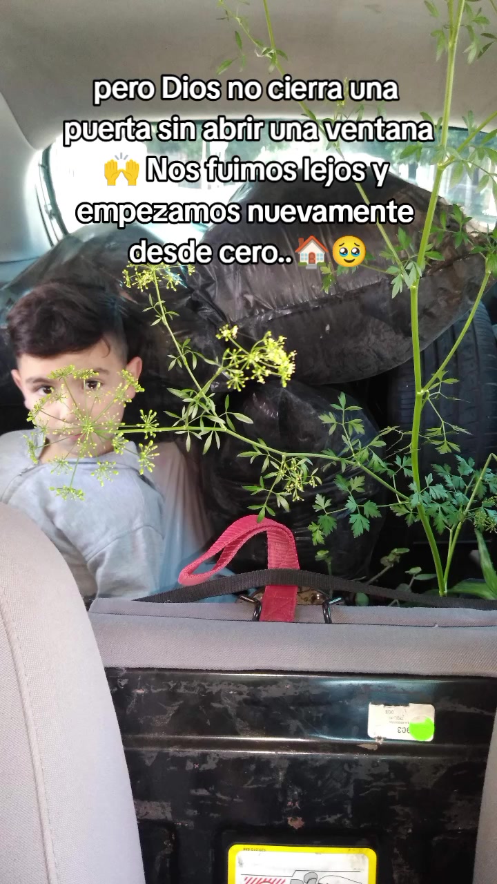 @iris velazquez