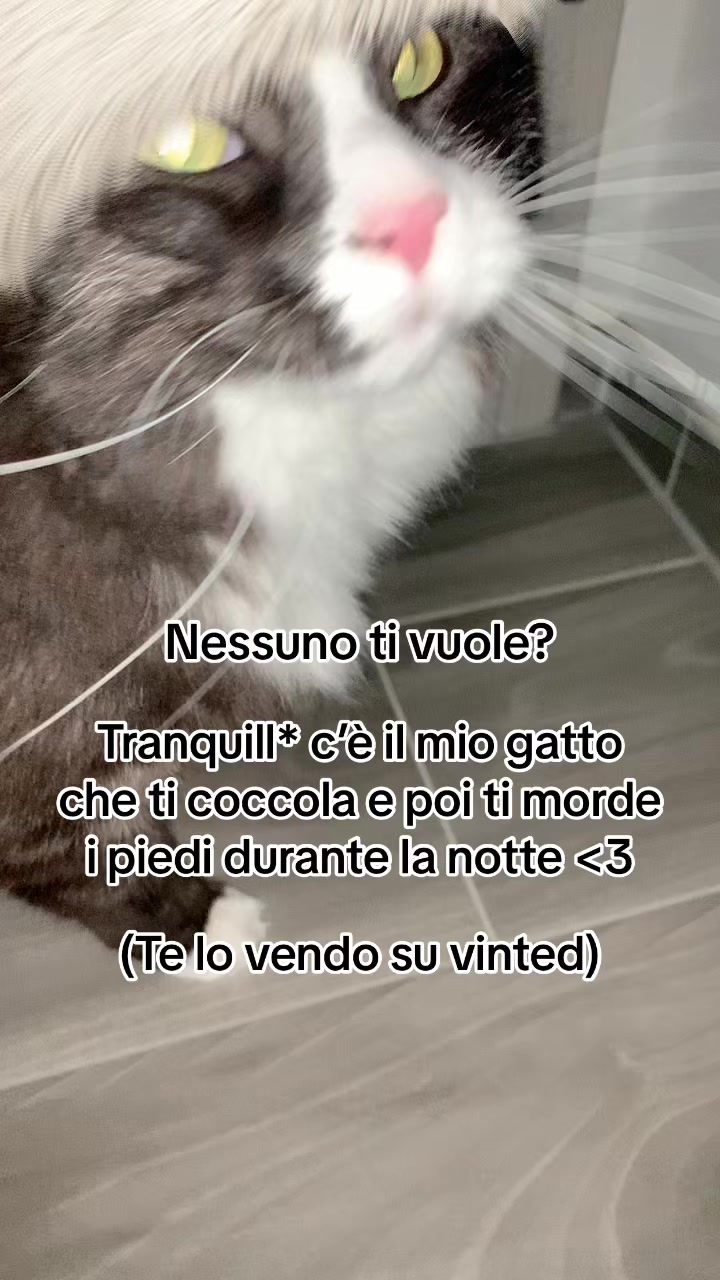@🦔