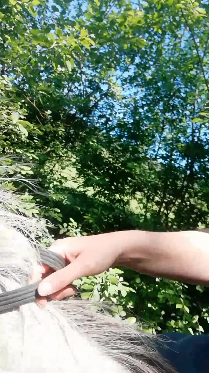 @Kirschblütentiger