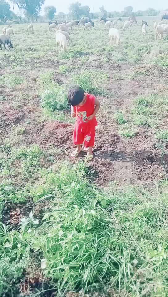 @Dinesh Lamka
