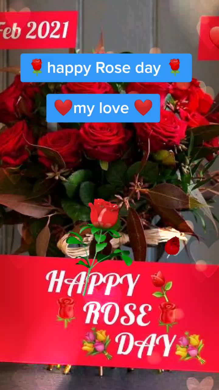 @Pallavimehra