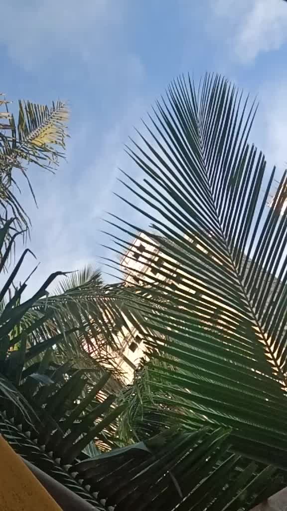 @ajayraj_22