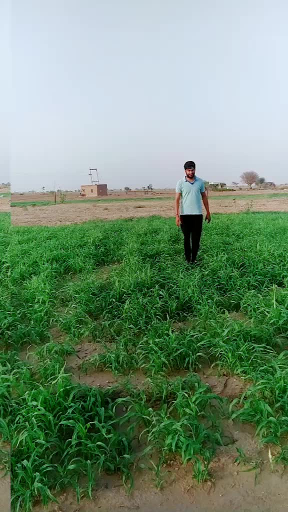 @Gensa Suthar "mahi"