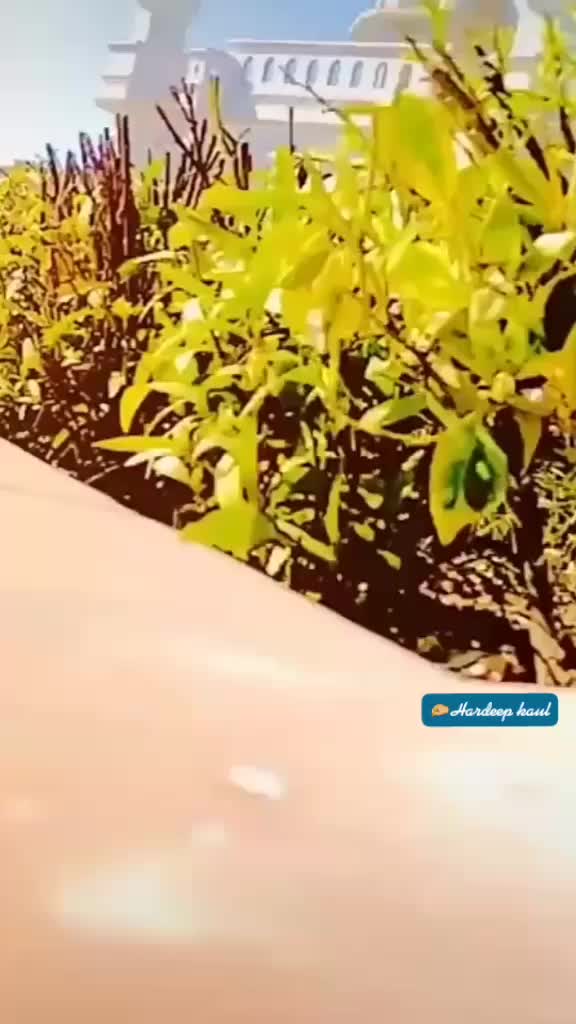 @❤ਪੁੱਤ ਜਸਵੀਰ ਕੌਰ ਦਾ❤