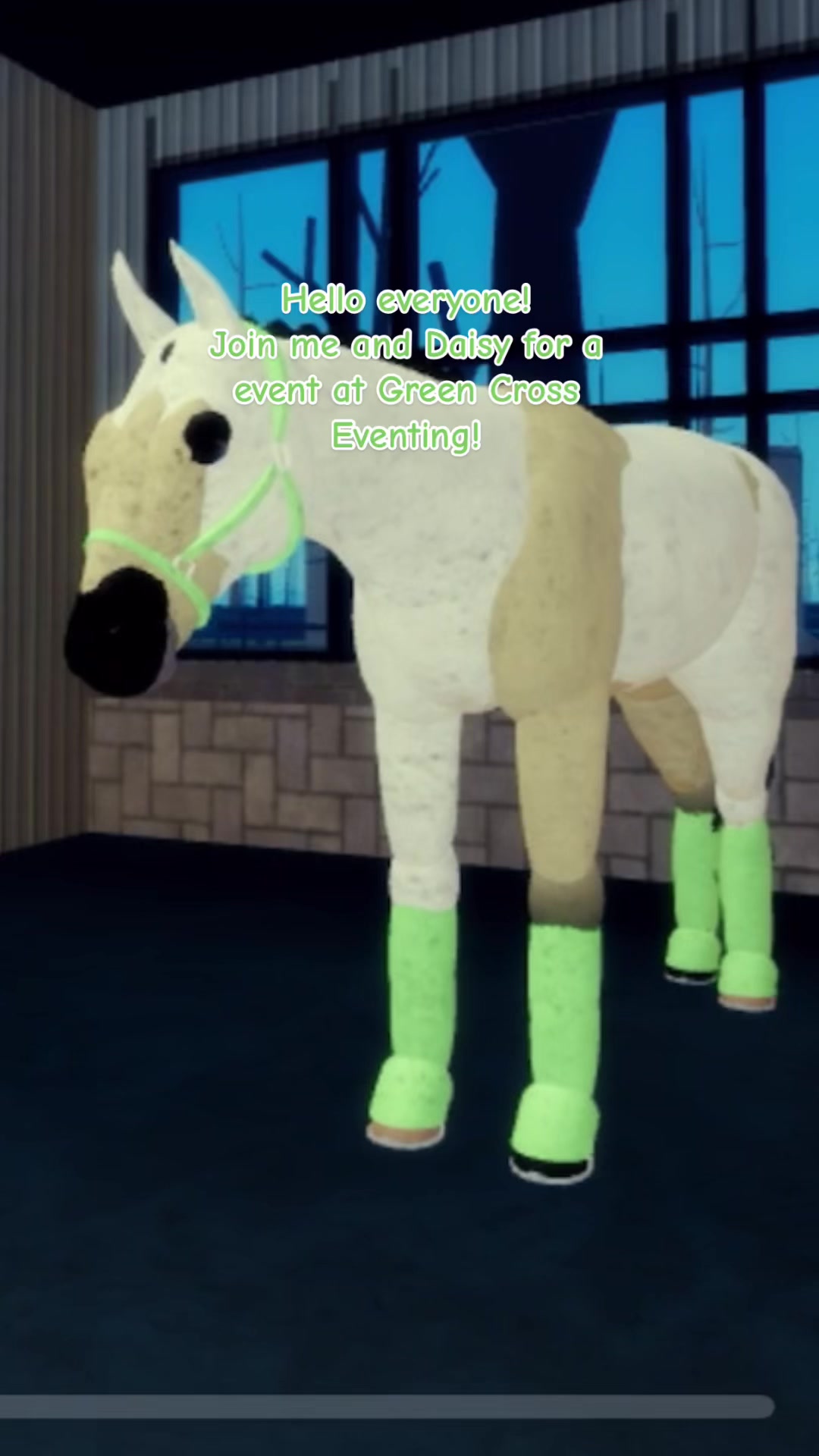 @🐋