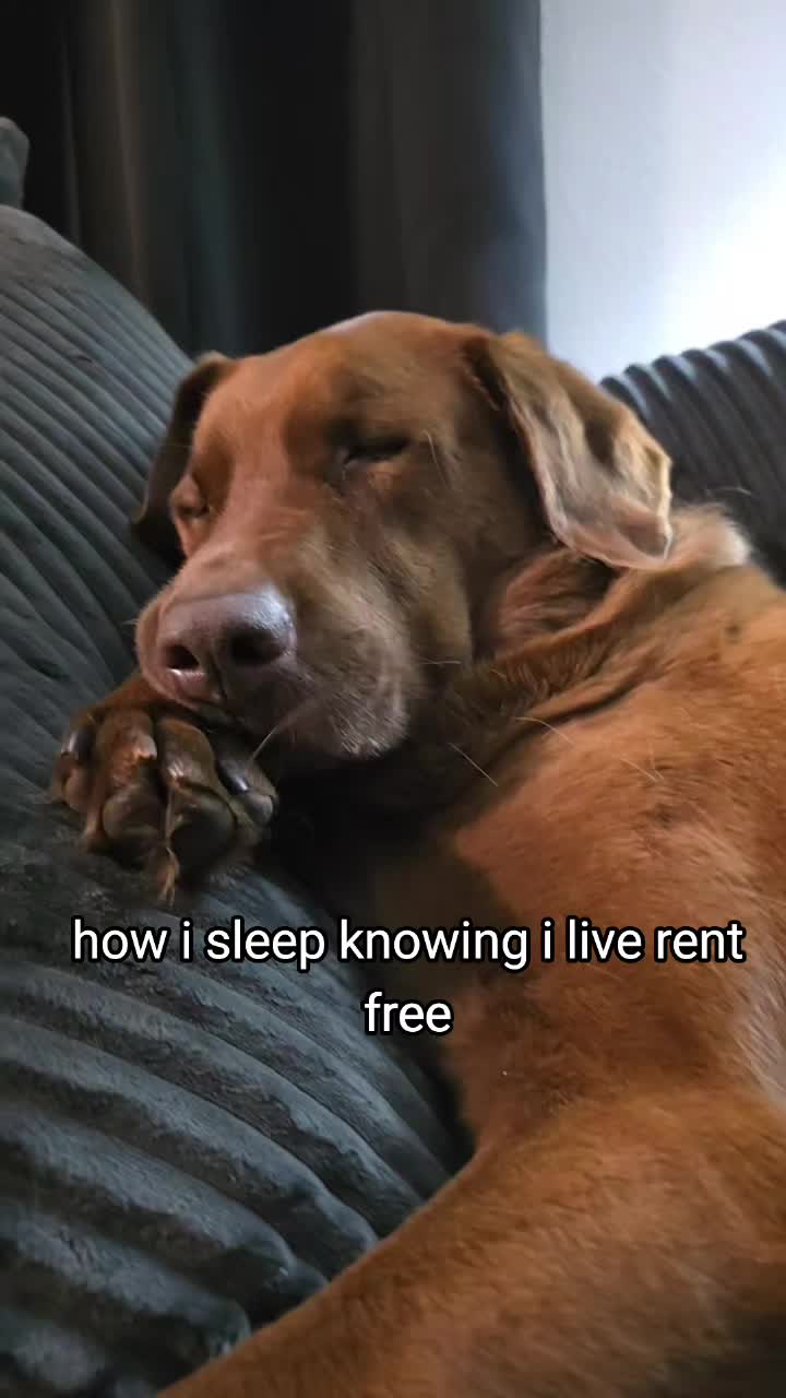 @hankinthehat