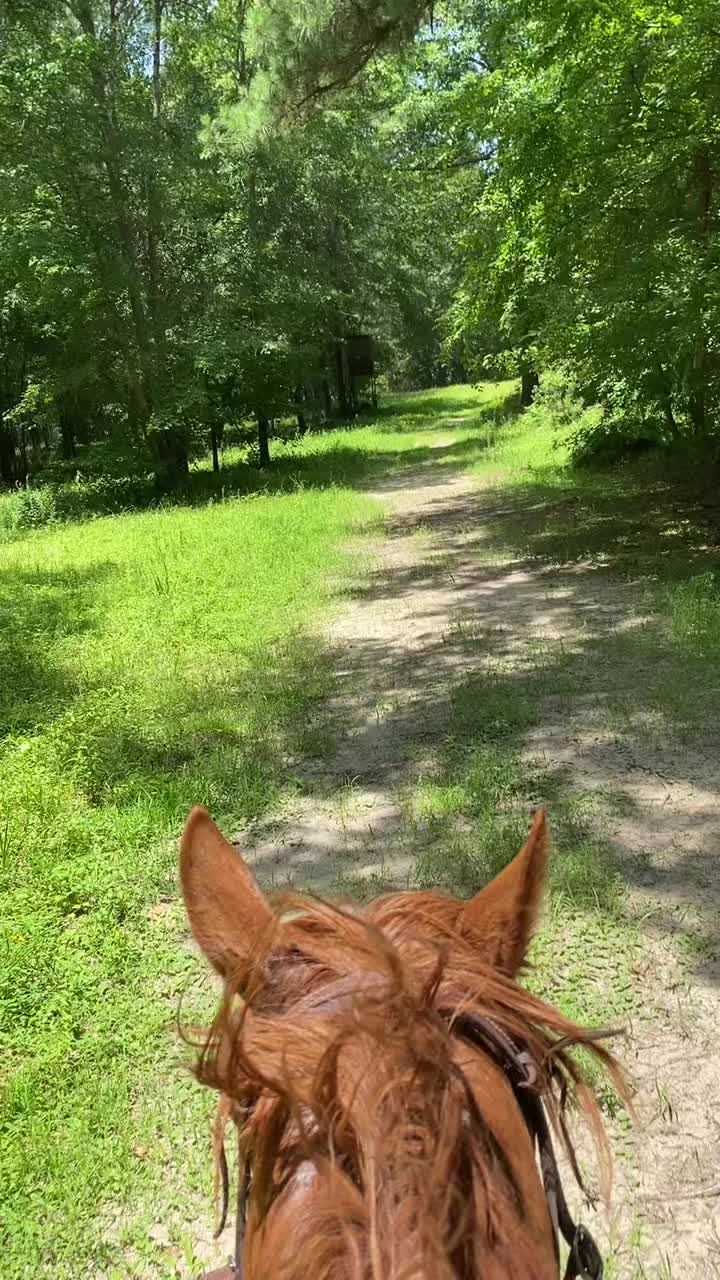 @Total_Farm