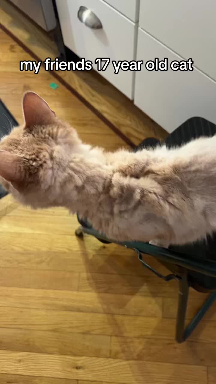 @:3
