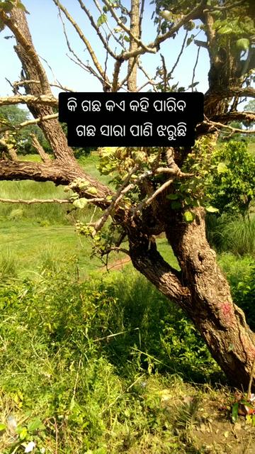 @Sahu_Deep