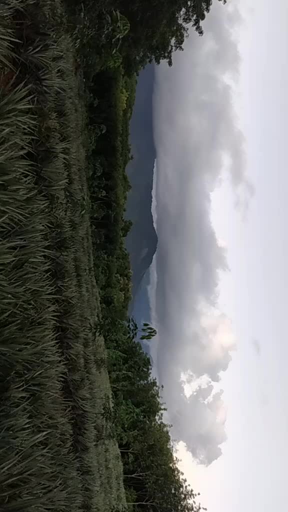 @user2019831926667