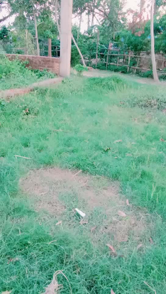 @prasanta69