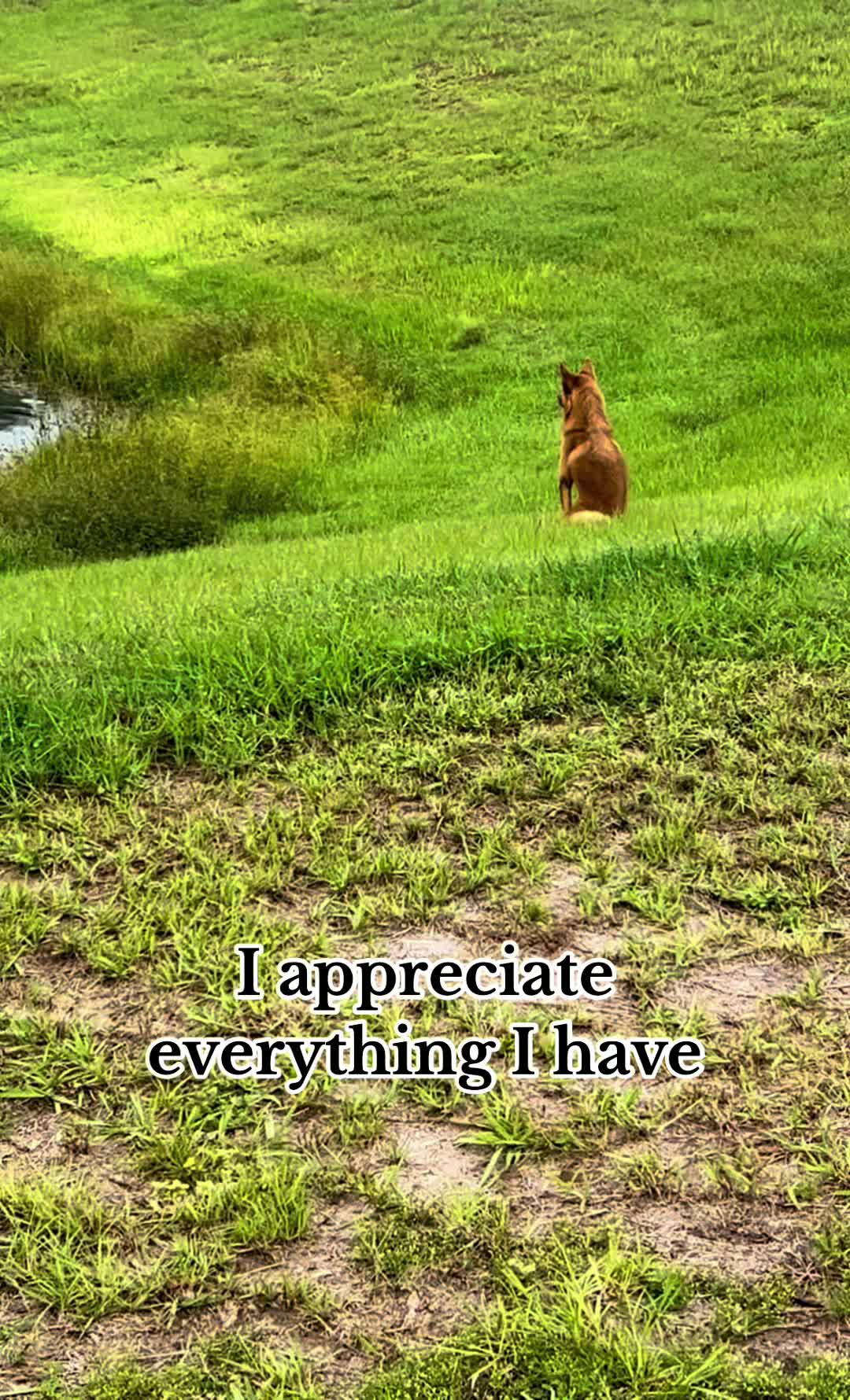 @Words.in.souls