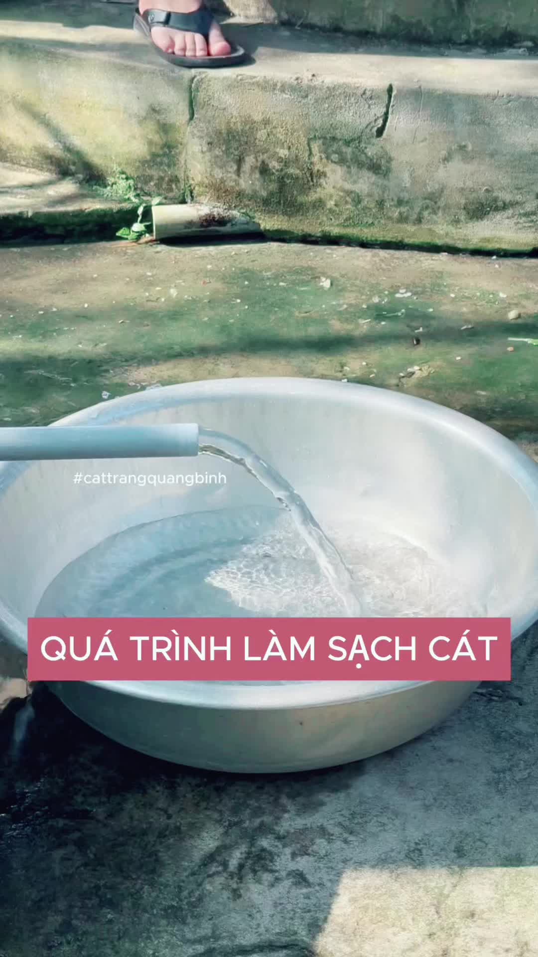 @1555vn