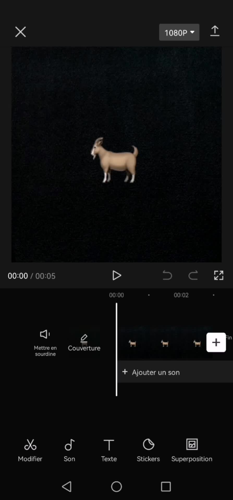 @🦦🦦