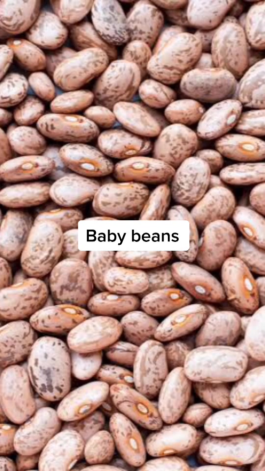 @beeeeeaaaaaaansssss