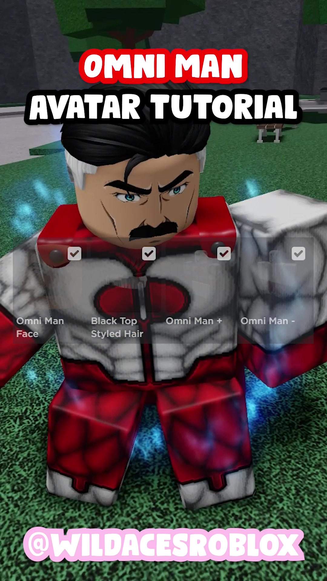 @Wildaces Roblox