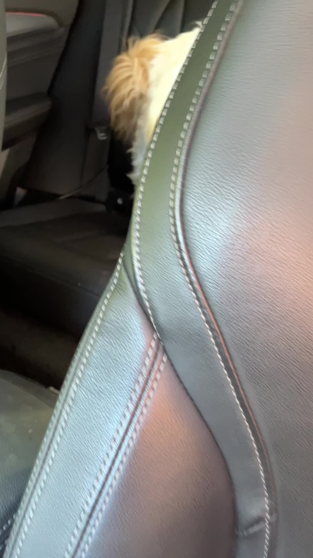 @Emmalove-DE