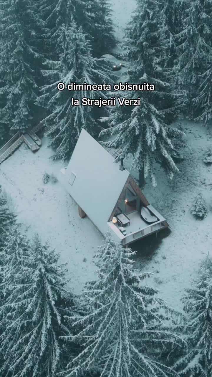 @Strajerii Verzi