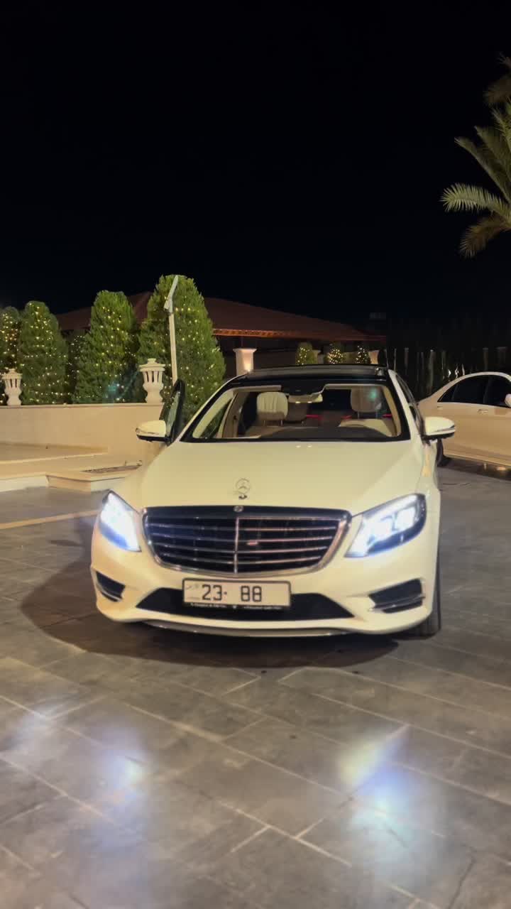 @Lara Abu Hassan