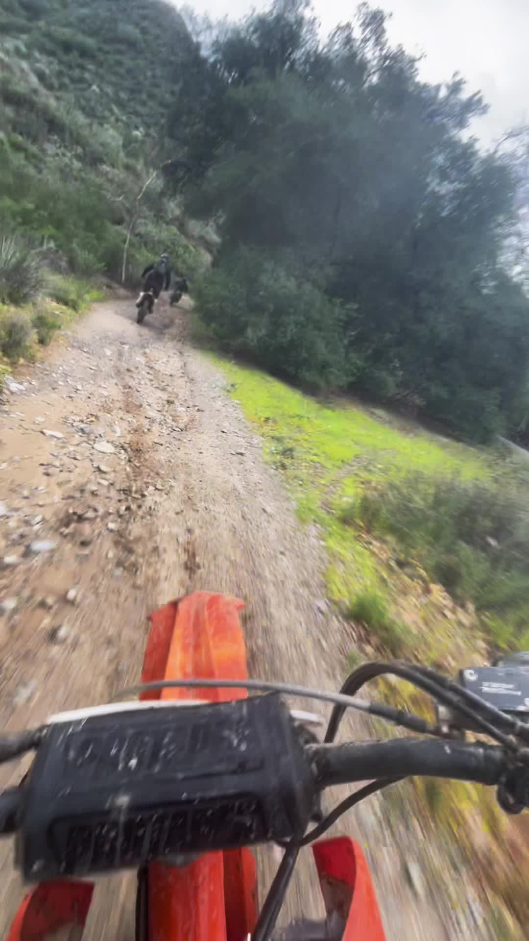 @Alex Guzman