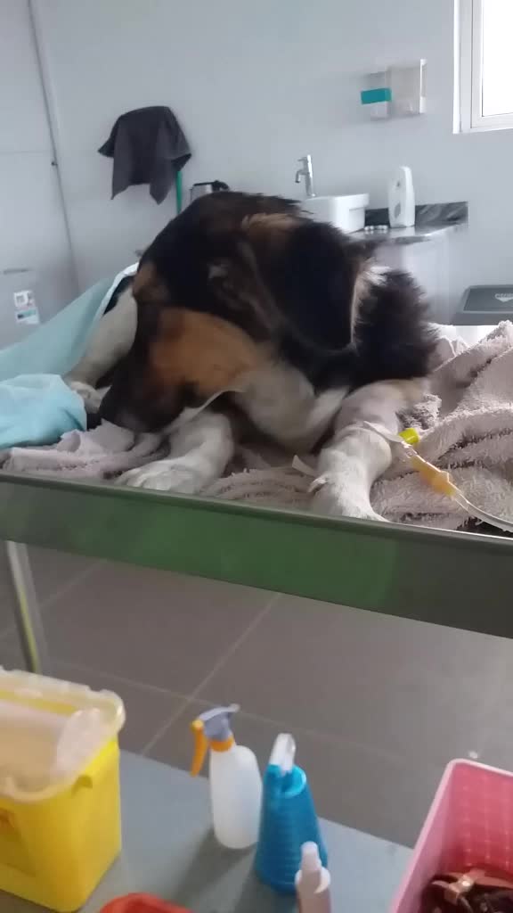 @Leena Sunkur