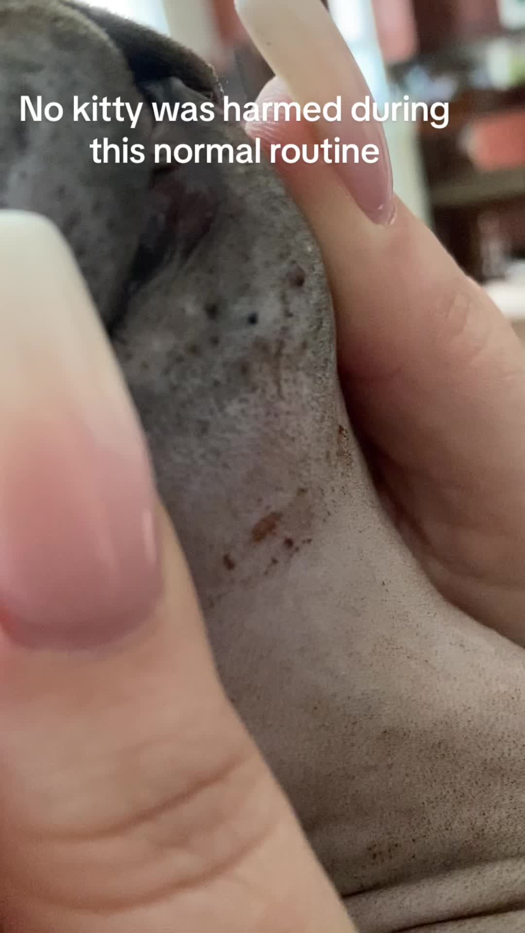 @MySphynxLife