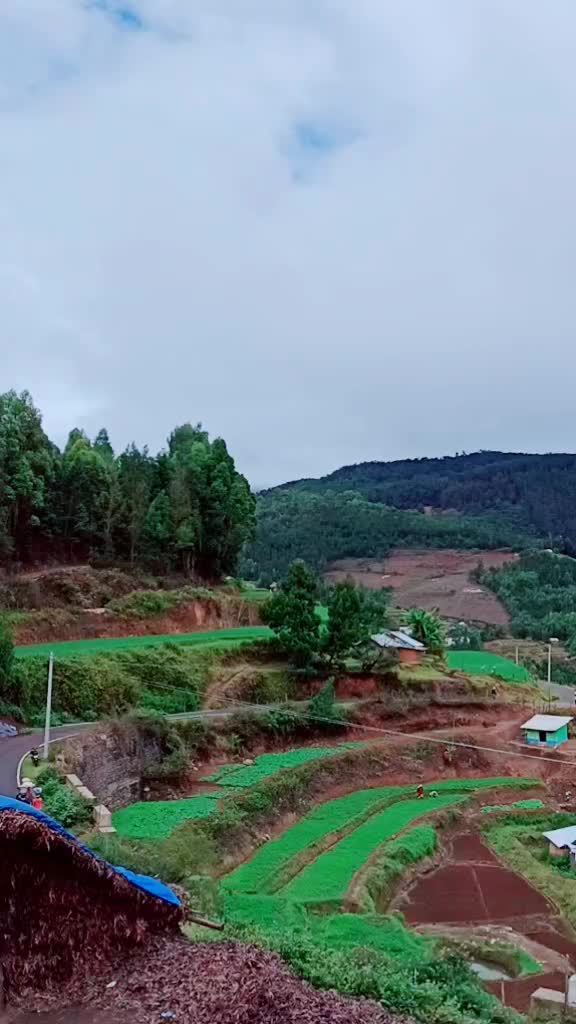 @jegan jp