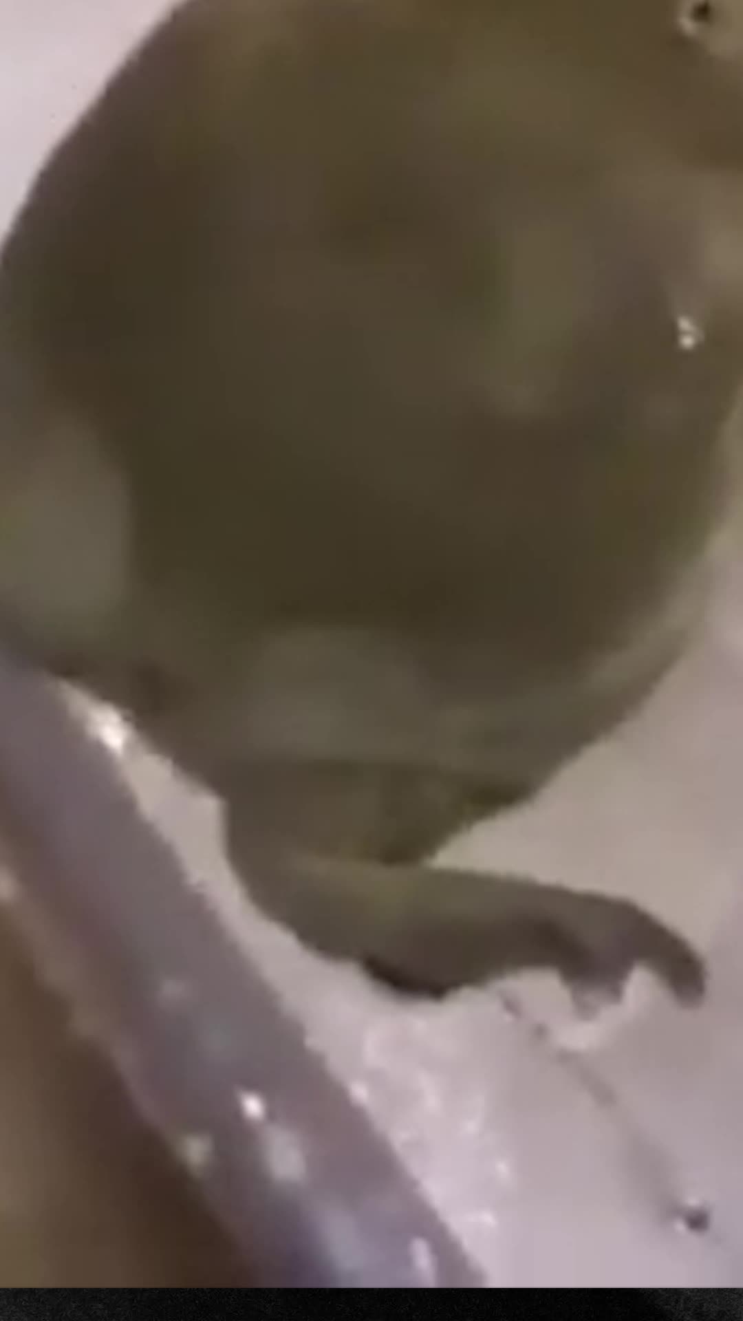 @cwboyfrmhell