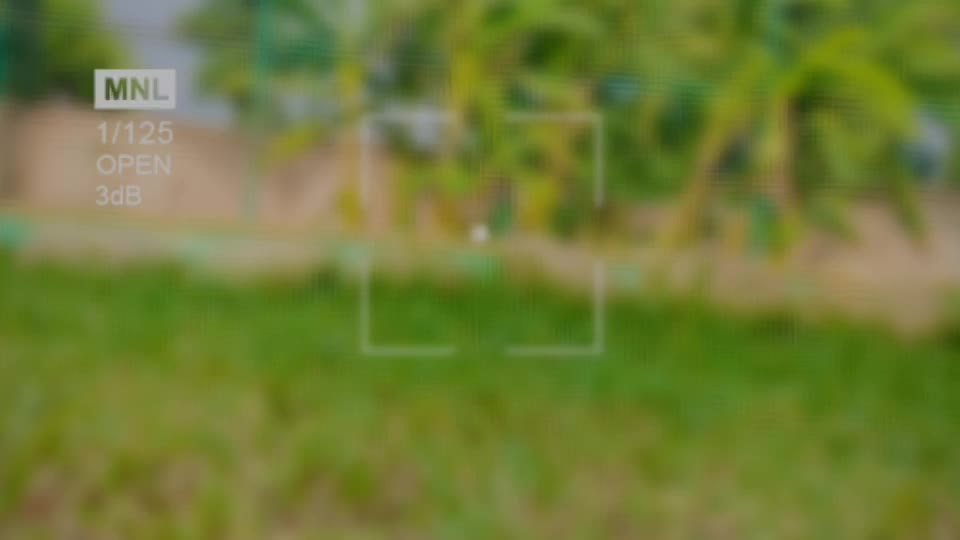 @ayush yadav