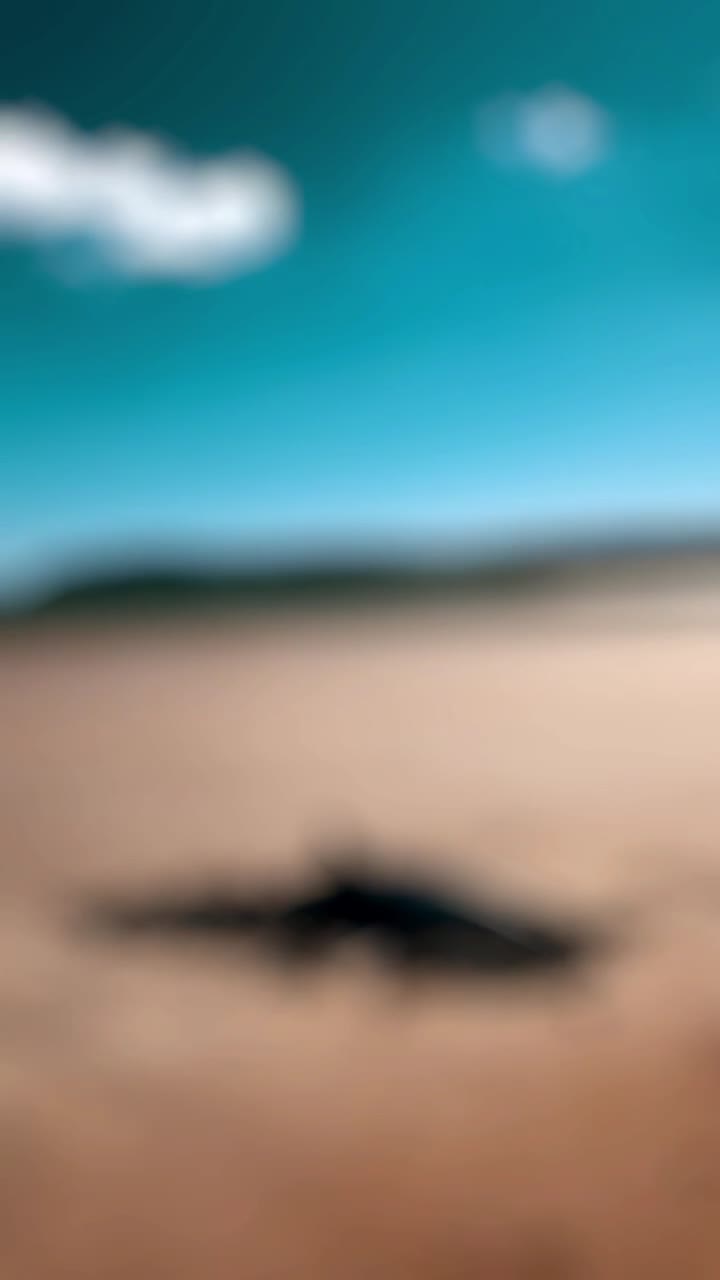@orphicframer
