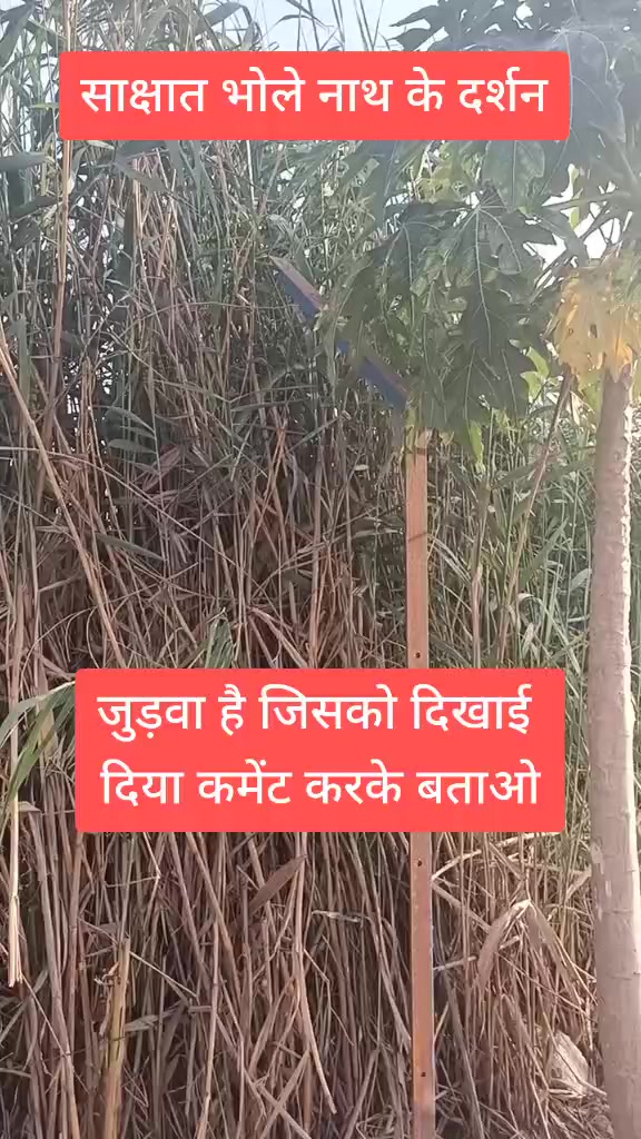 @😗SONU DALAL😗