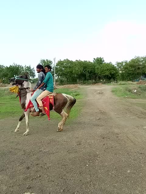 @Abhay jambliya