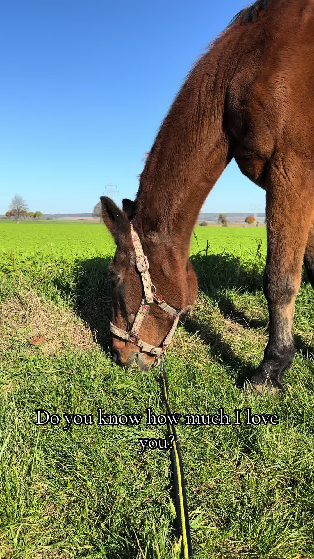 @Monique Hanstein 🦋