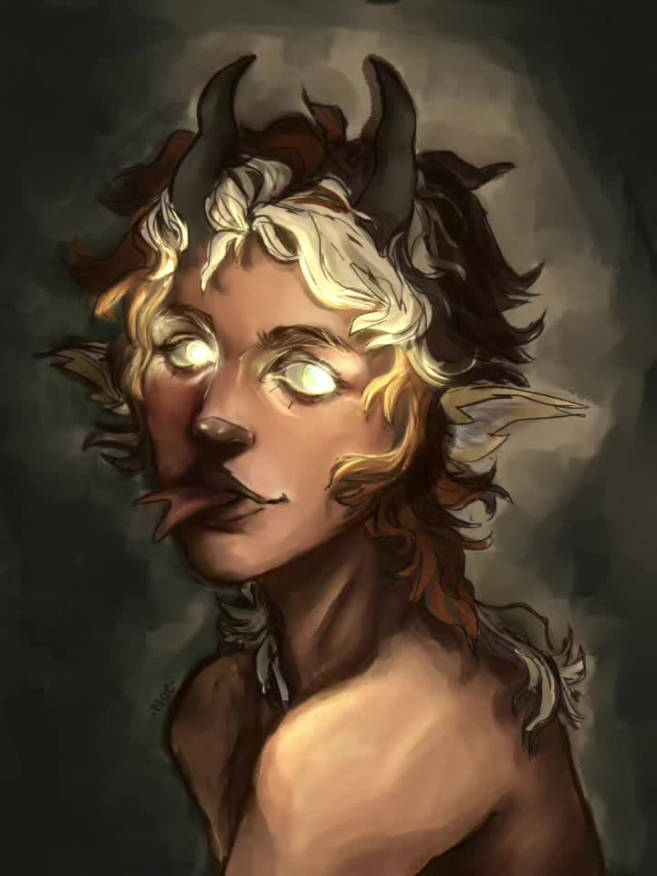 @⋆noc⋆