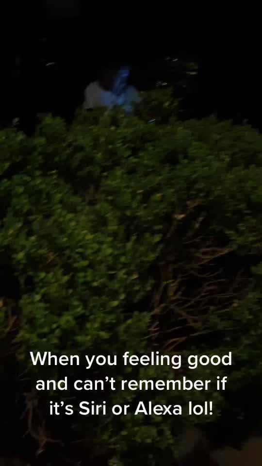 @loonyrob1