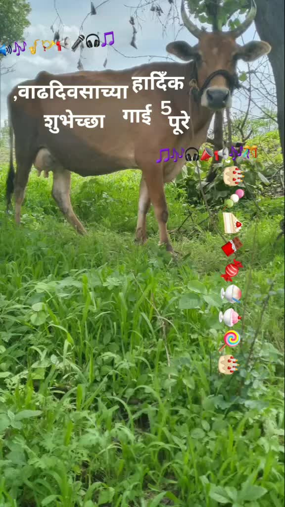 @Kishor Todakari