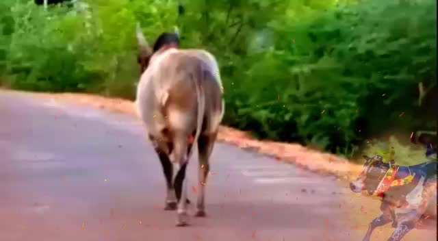@Thala jegan 007