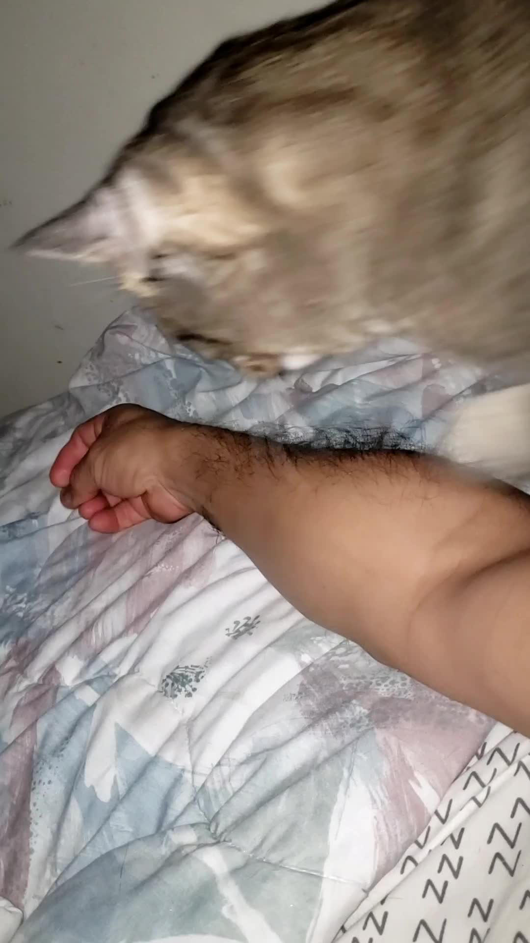 @yoggy18