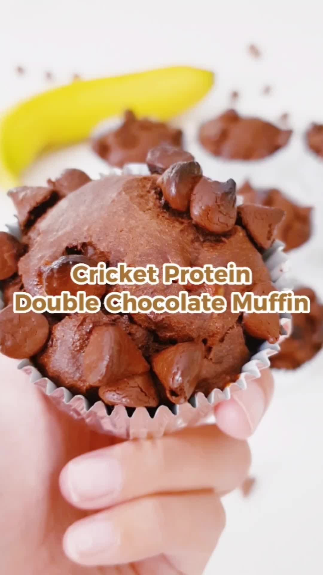 @proteincricket
