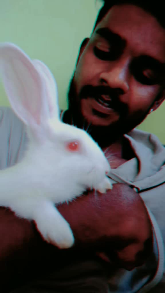 @&Atilde;ŕűŃ &Acirc;ķ&oslash;&Ntilde;