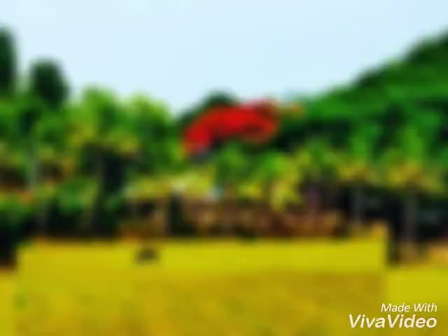 @suresharladka