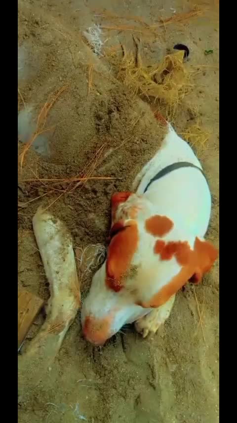 @Ehtisham abbasi