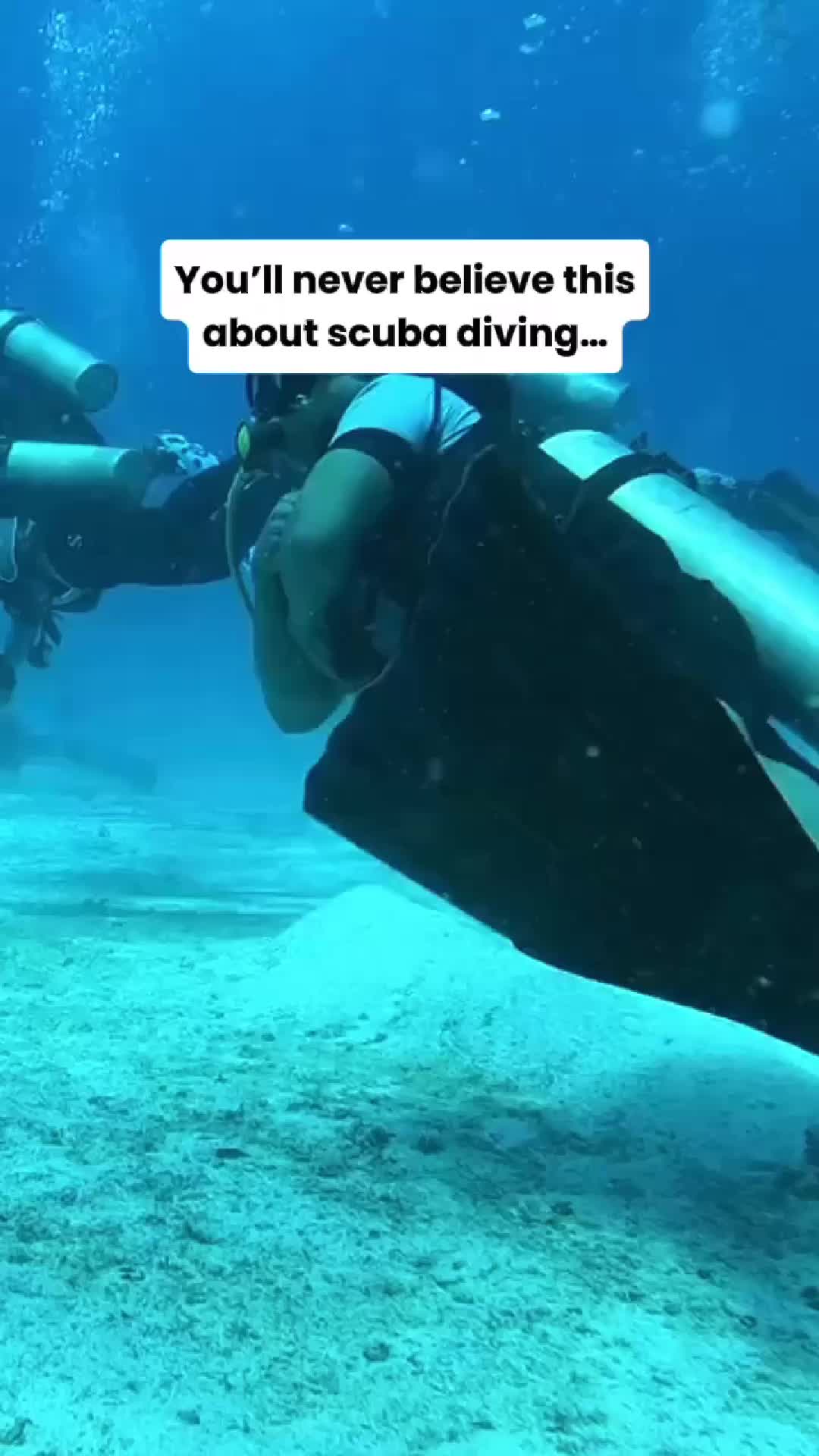 @Divernowmarine
