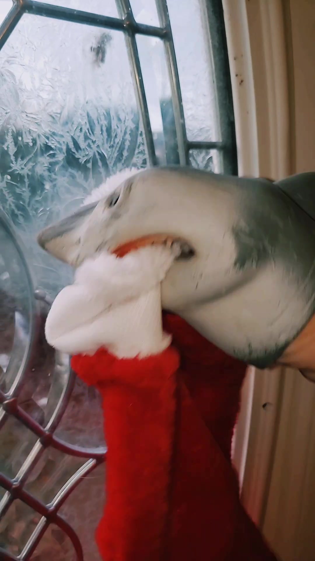 @Sharky 🦈