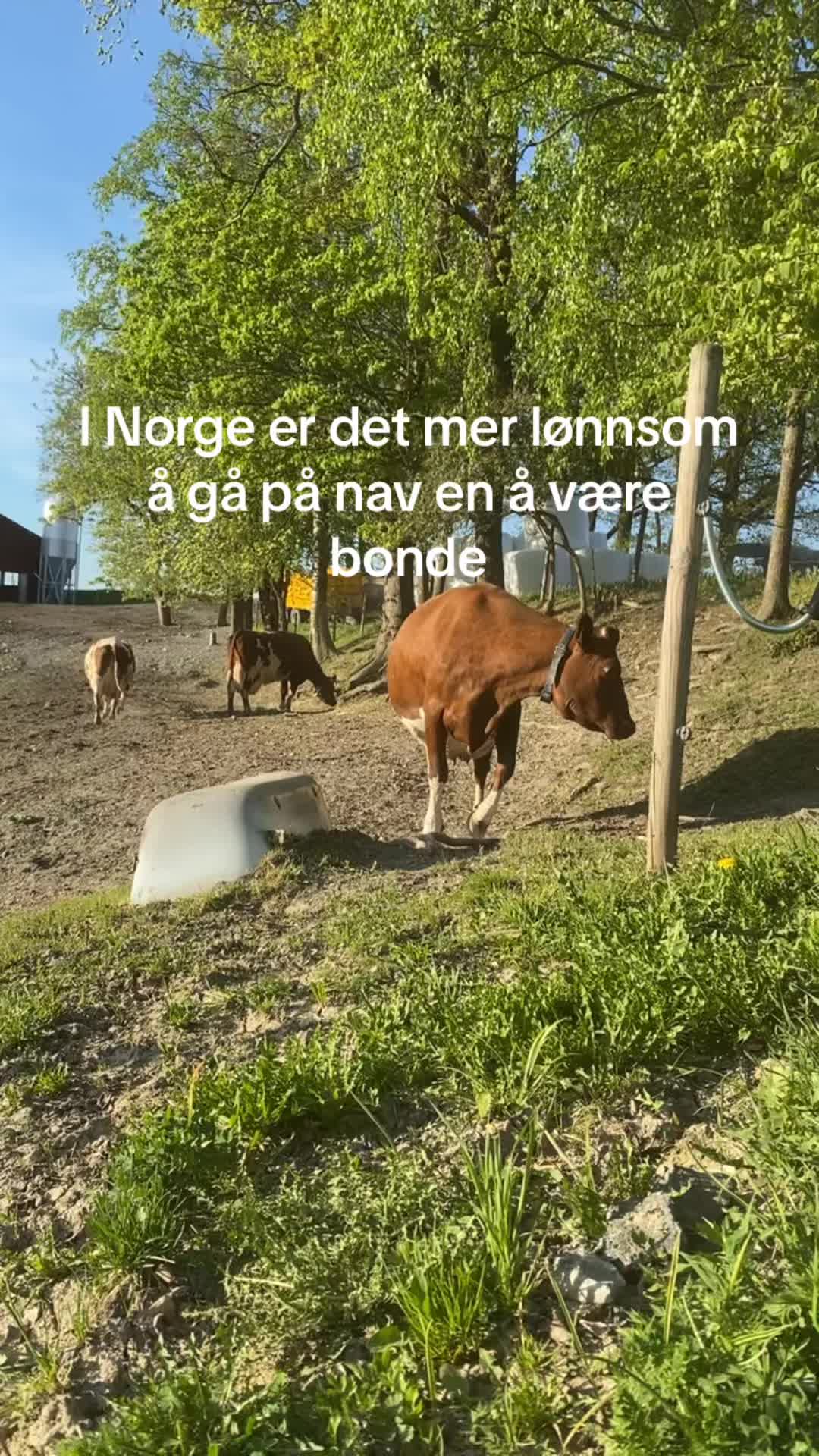 @Eirik korvald