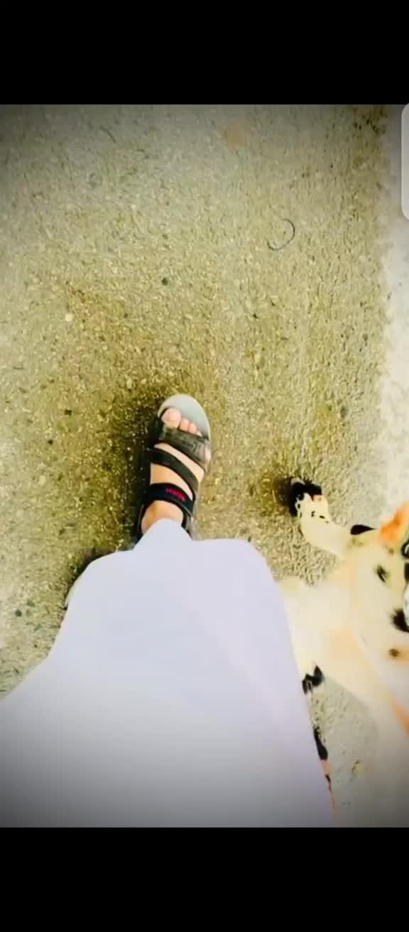 @tamanchakhan0