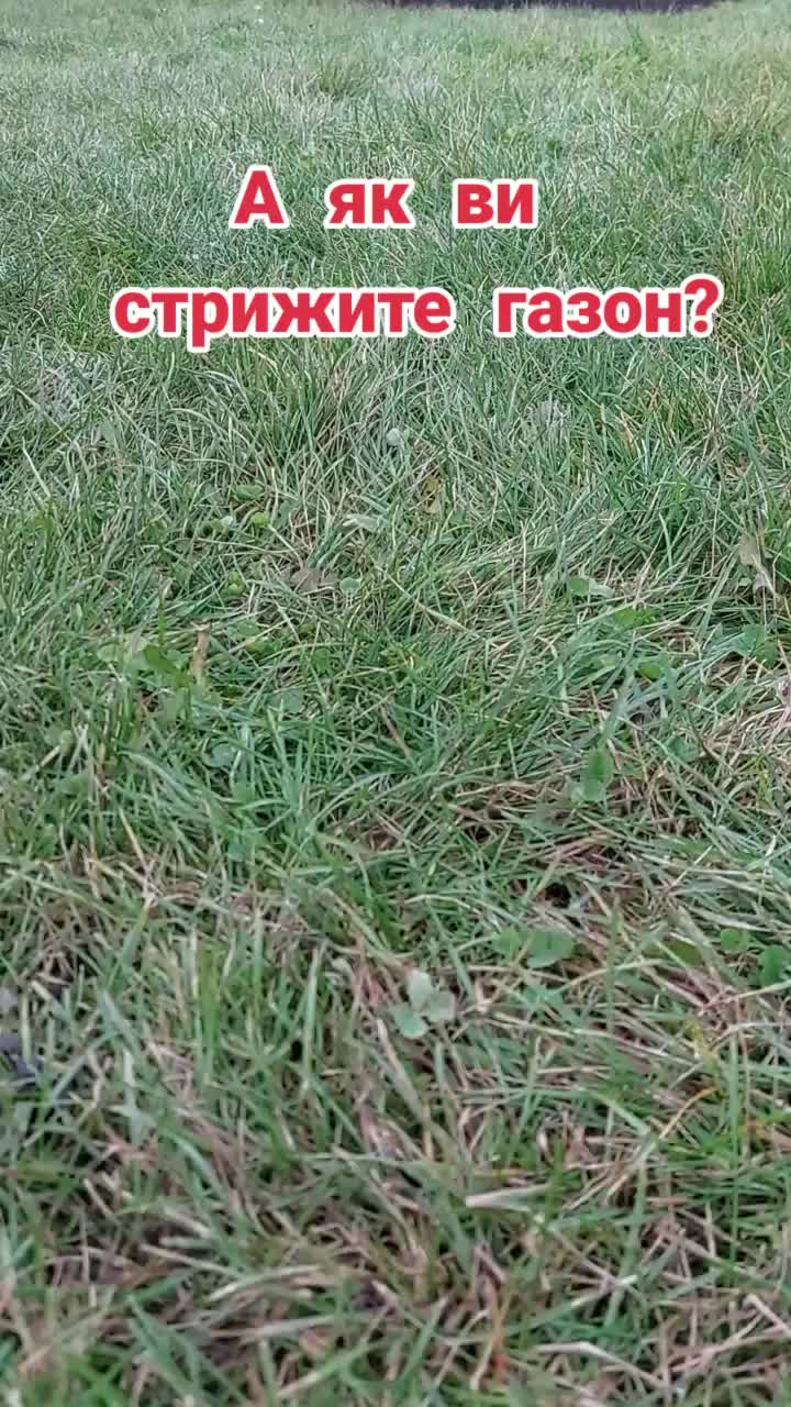 @BaraholkaUKRAINE