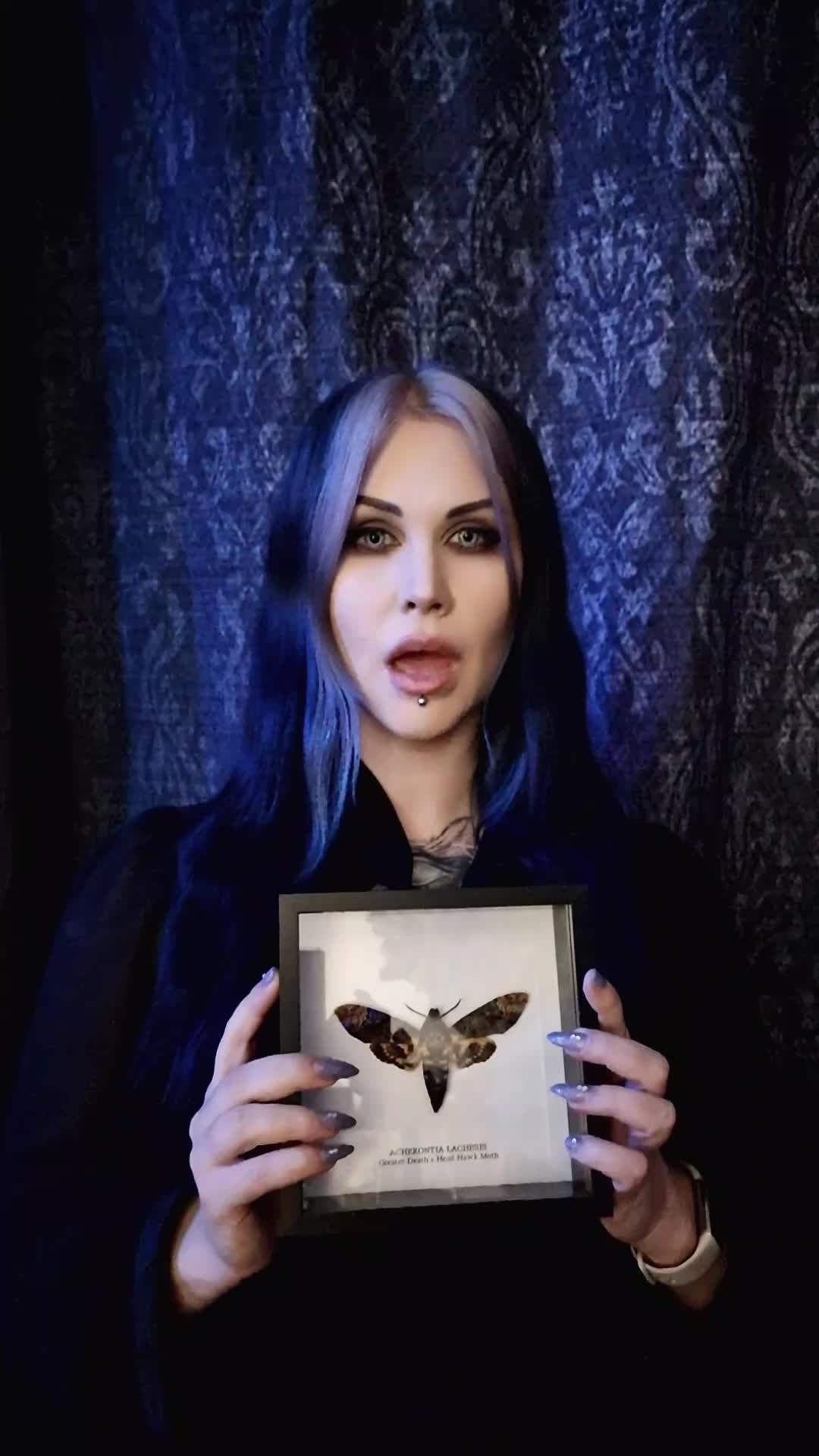 @Anomalyda